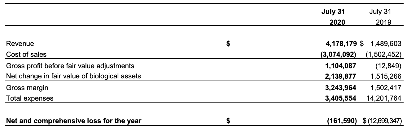 2020 STATEMENT OF COMPREHENSIVE INCOME (LOSS) SUMMARY