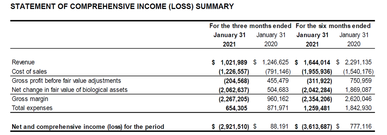 Q2 2021 Income Statement