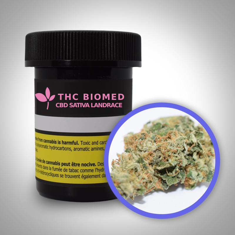 THC_Bottle_CBD Sativa Landrace