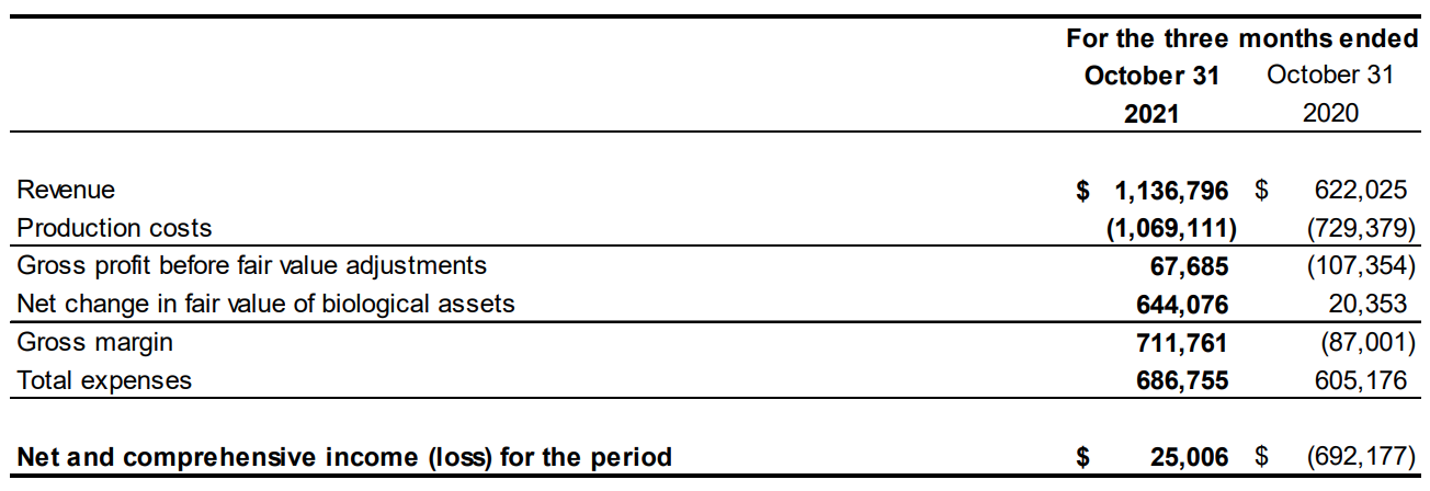 STATEMENT OF NET AND COMPREHENSIVE LOSS SUMMARY